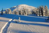 Panorama Ridge. Těšim se až se kouknem z vrchu.